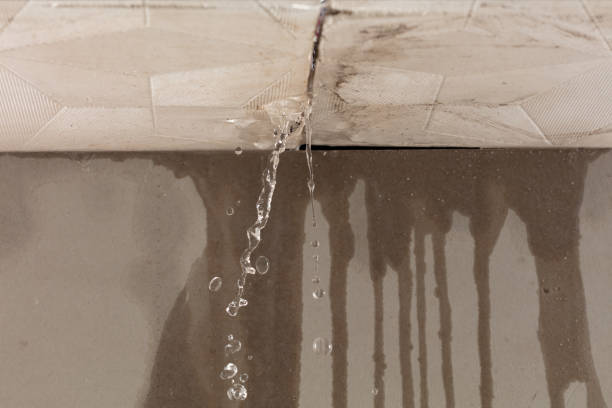 Professional Water Damage Repair technician working in Grandy, NC